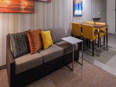 Residence Inn by Marriott Seattle University District - 90
