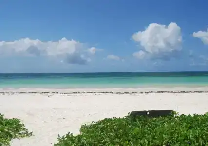 Sahari Zanzibar - 13