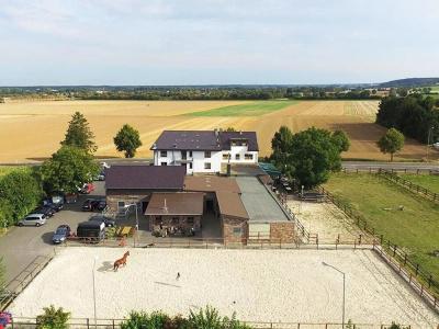 Rotes Einhorn **** - 18