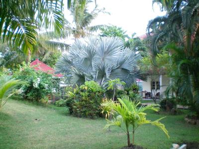 Patong Palace - Sha Extra Plus - 17