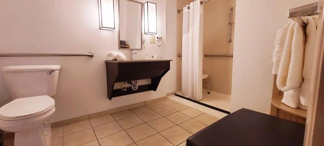 Holiday Inn West – Sunland Park, An Ihg - 40