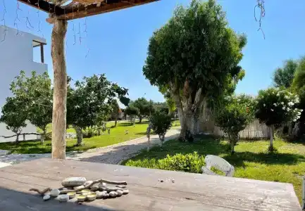 Eco Beach And Magic Garden - 175