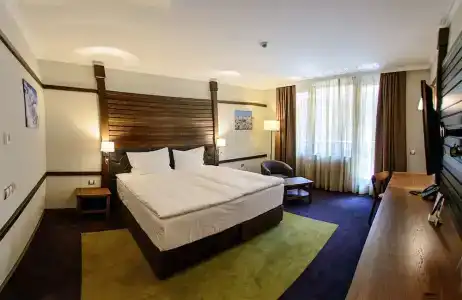 Hot Springs Medical And Spa - 29