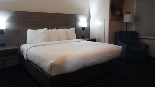 Arbor Inn and Suites - 44