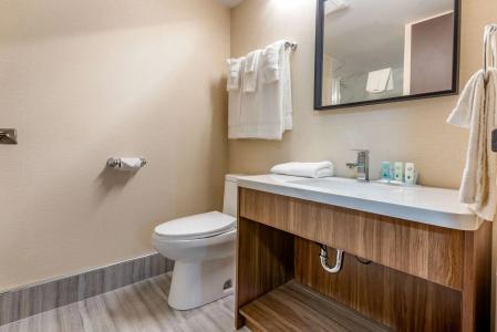 Quality Inn and Suites - 35