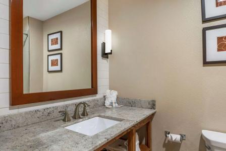 Comfort Suites - University - 63