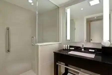Embassy Suites by Hilton/ Fallsview - 48