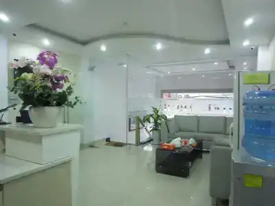 Thu Ha - 1