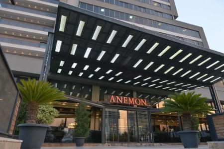 Anemon - 1