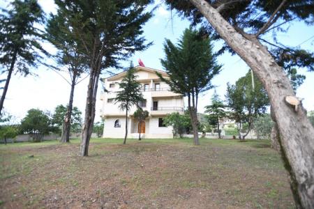 Taverna Ago - 10