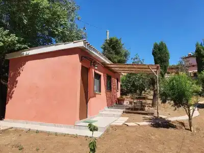 Azienda Agricola Sinisi - 27