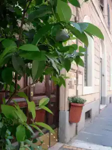Castelfidardo - 11