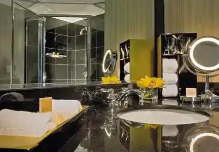 Grand Hyatt Dfw Airport - 23
