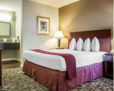 Quality Suites Atlanta Buckhead Village North - 40