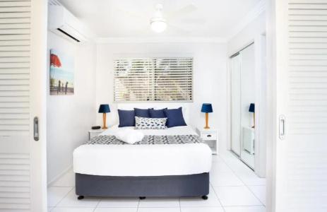 Noosa River Palms - 130