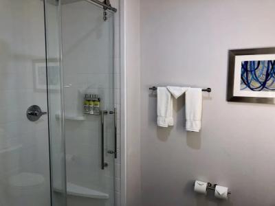 Holiday Inn Express & Suites - Houston Westchase - Westheimer, an IHG - 72
