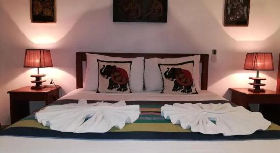 The Nature Park Villa - 3