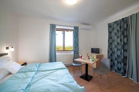Kis Helikon Villa - 1