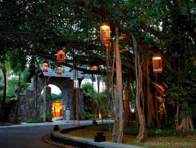 Tropical Attitude (Adults Only) - 19