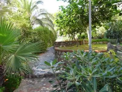 Jardín - 11