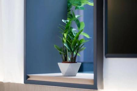 Nuve Elements (Sg Clean, Staycation Approved) - 66