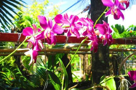 Kampot guesthouse - 21