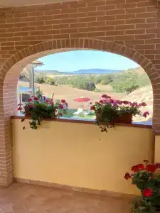 Le Querciolaie dei Ricci - 18