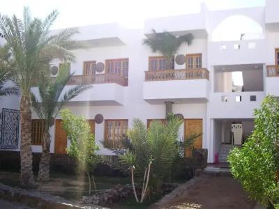 Star Of Dahab - 10