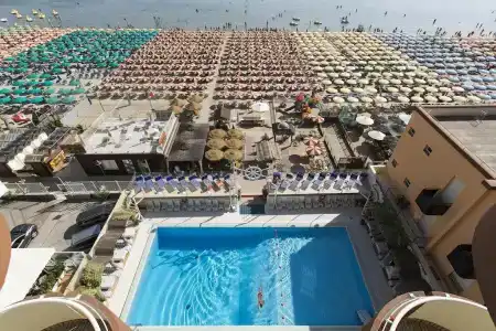 Flamingo - 13