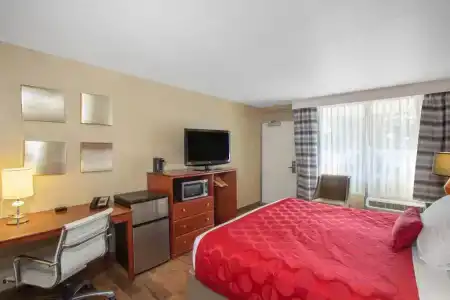 Ramada by Wyndham Venezia - 24