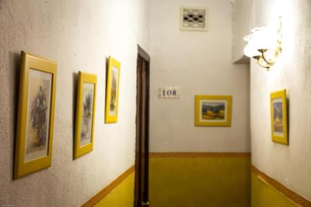 Naranjo - 7