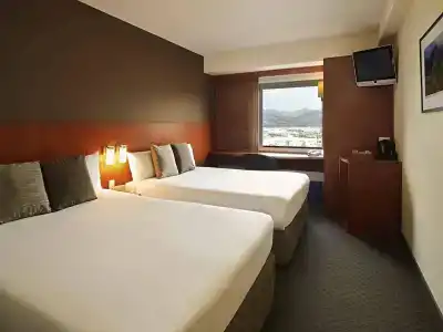 Ibis - 3