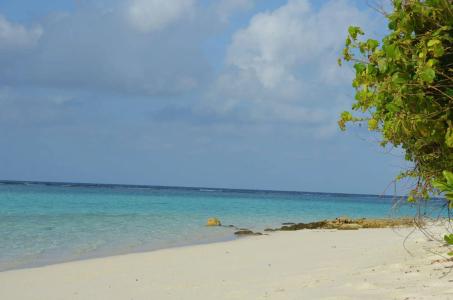 Dive Villa Thoddoo - 15