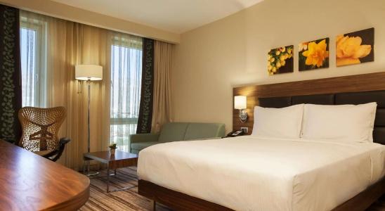 Hilton Garden Inn Erzincan - 44