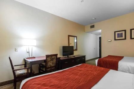 Comfort Inn & Suites Airport South - 36