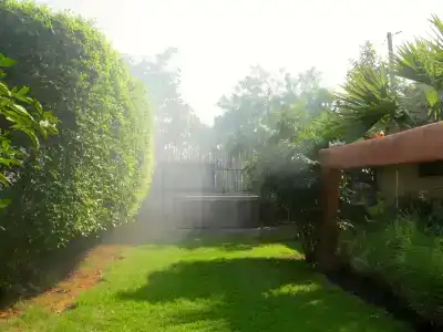 Pranberry - 3