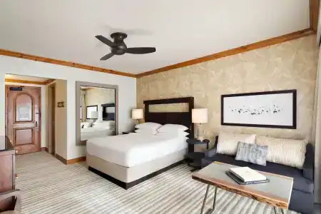 Park Hyatt and Spa, Vail Valley - 5