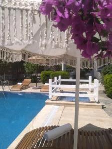 Misket Bodrum - 9