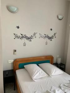 Pansion Olga - 15