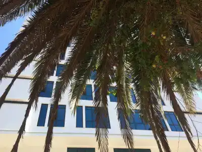 Aselia Trabzon - 0