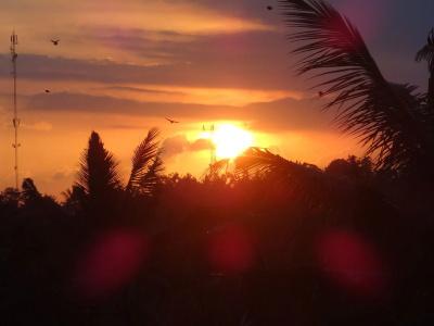 Hibiscus Cottages - 13