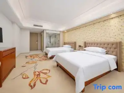 Vienna Dongguan Humen Wanda Plaza - 18