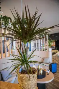 Ibis Styles Rouen Centre Rive Gauche - 20