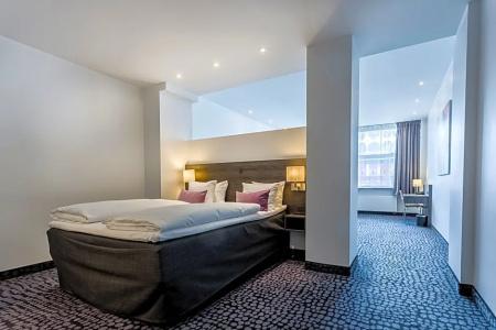 ProfilHotels Mercur - 92