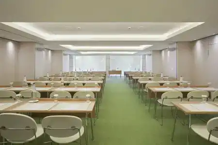 New - 12