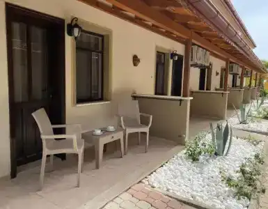 Portakal Dalyan - 52