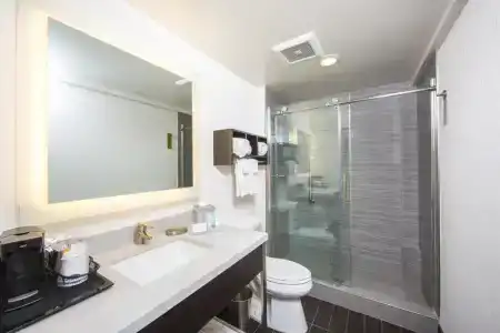 Hampton Inn San Francisco Downtown/Convention Center - 42