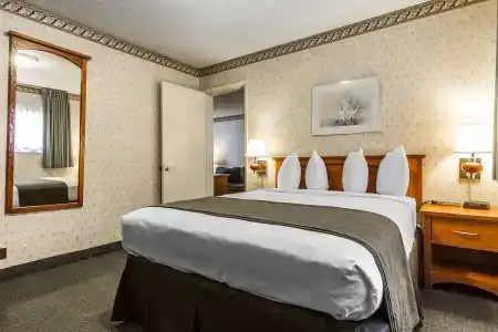 Quality Inn & Suites - 55