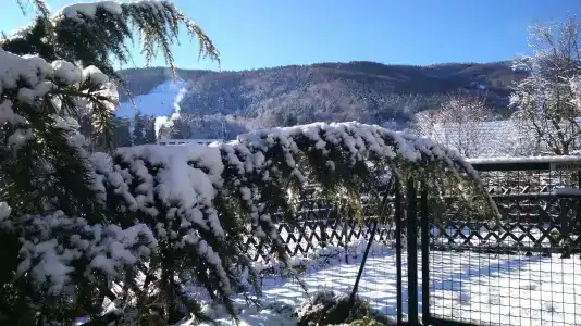 Boutique Pohorje - 9