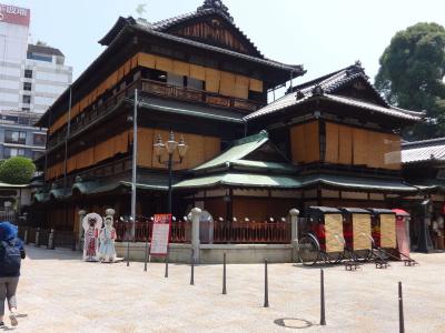 Nest Matsuyama - 20